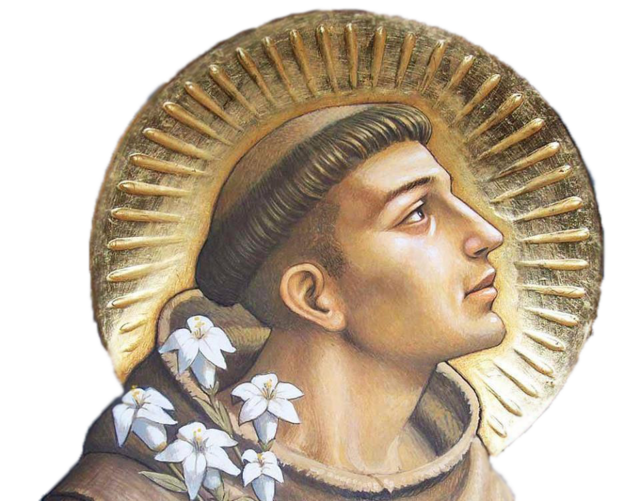 [Translate to English:] 